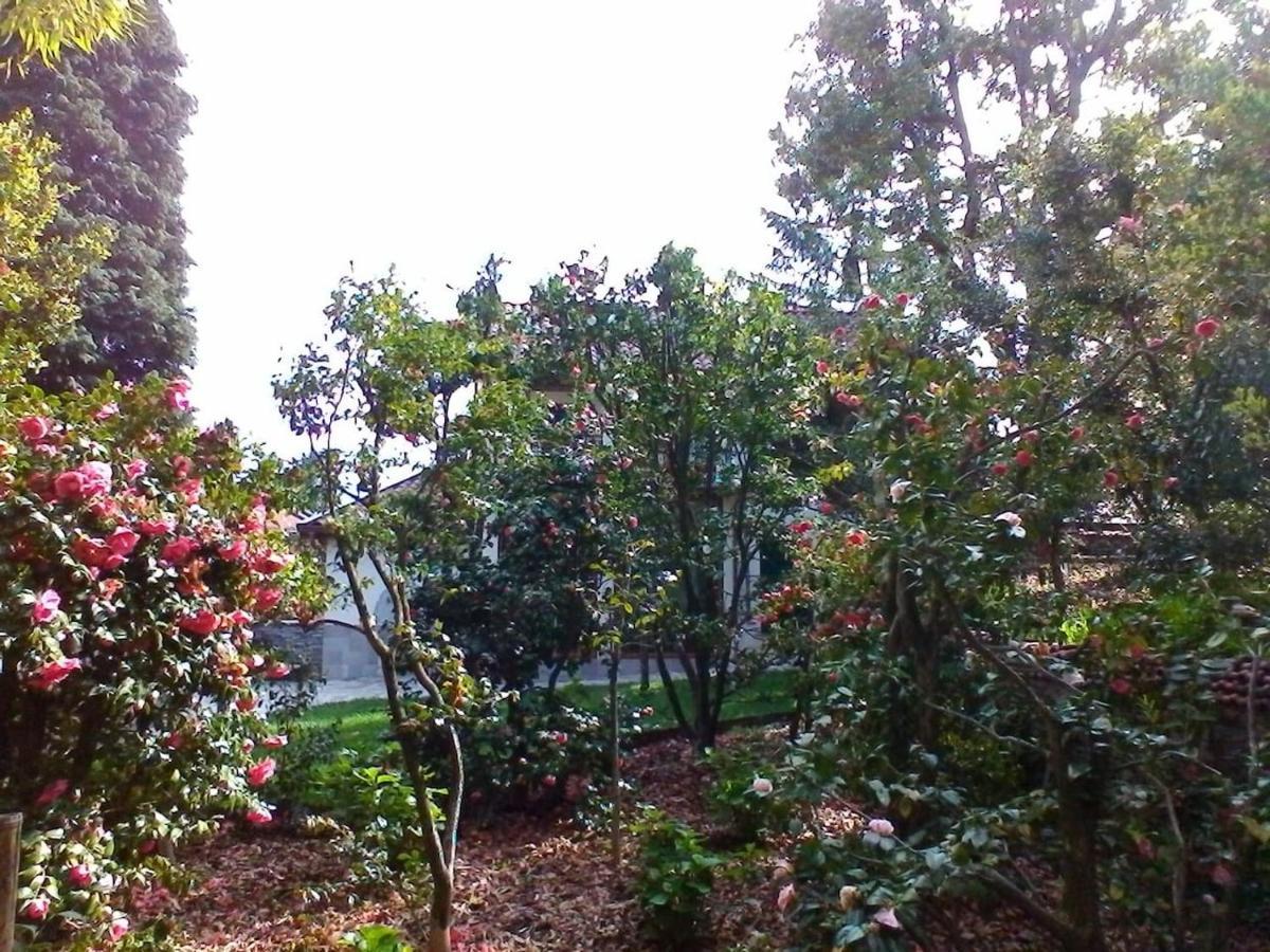 La Camelia D'Oro Lejlighed Oggebio Eksteriør billede