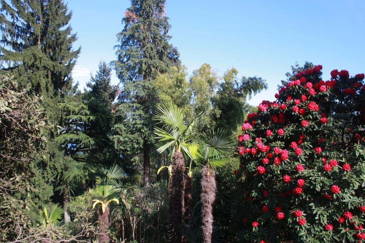 La Camelia D'Oro Lejlighed Oggebio Eksteriør billede